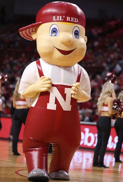 Nebraska mascot lil ted